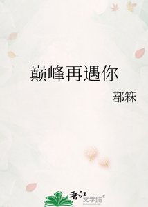 巔峰再遇你